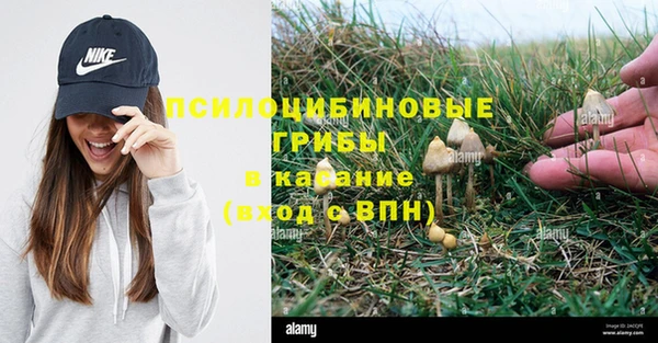 MESCALINE Верхний Тагил