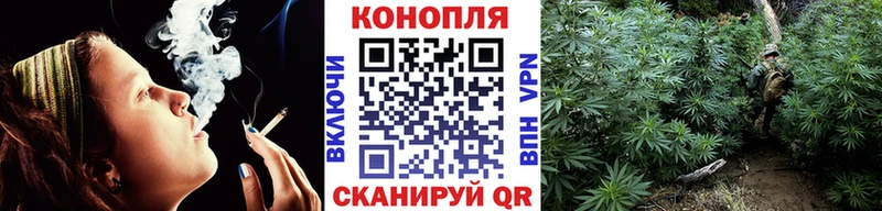 купить наркотики цена  Вязники  Каннабис сатива 